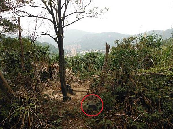 林子口山.東方寺吉野櫻.蔡博士的家.小草山.小草山圖跟點 018