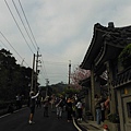 林子口山.東方寺吉野櫻.蔡博士的家.小草山.小草山圖跟點 032