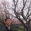 林子口山.東方寺吉野櫻.蔡博士的家.小草山.小草山圖跟點 055