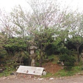 林子口山.東方寺吉野櫻.蔡博士的家.小草山.小草山圖跟點 065