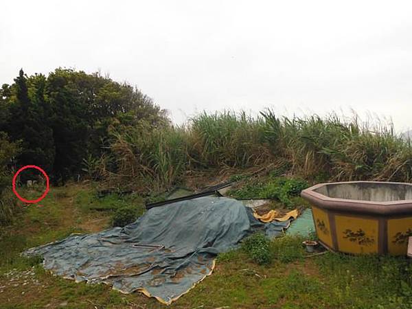 林子口山.東方寺吉野櫻.蔡博士的家.小草山.小草山圖跟點 067