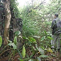 林子口山.東方寺吉野櫻.蔡博士的家.小草山.小草山圖跟點 078