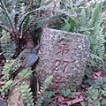 林子口山.東方寺吉野櫻.蔡博士的家.小草山.小草山圖跟點 080