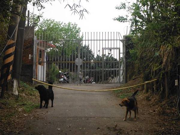 林子口山.東方寺吉野櫻.蔡博士的家.小草山.小草山圖跟點 087