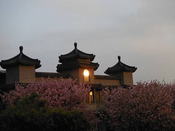 林子口山.東方寺吉野櫻.蔡博士的家.小草山.小草山圖跟點 091