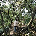 中埔山.青林山.竿蓁坑鑛務課178基石.竿蓁坑古道 012