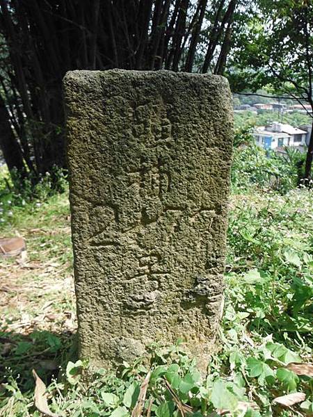 中埔山.青林山.竿蓁坑鑛務課178基石.竿蓁坑古道 017