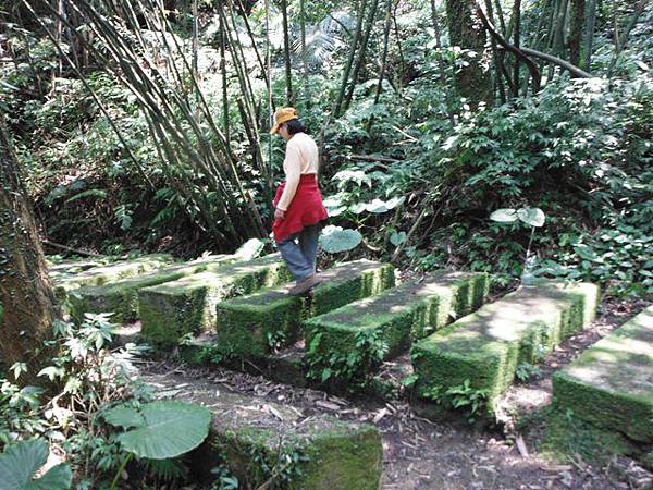 中埔山.青林山.竿蓁坑鑛務課178基石.竿蓁坑古道 047