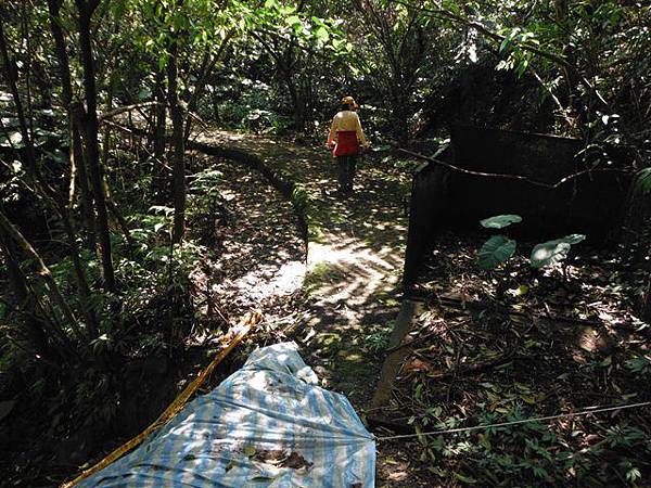 中埔山.青林山.竿蓁坑鑛務課178基石.竿蓁坑古道 049