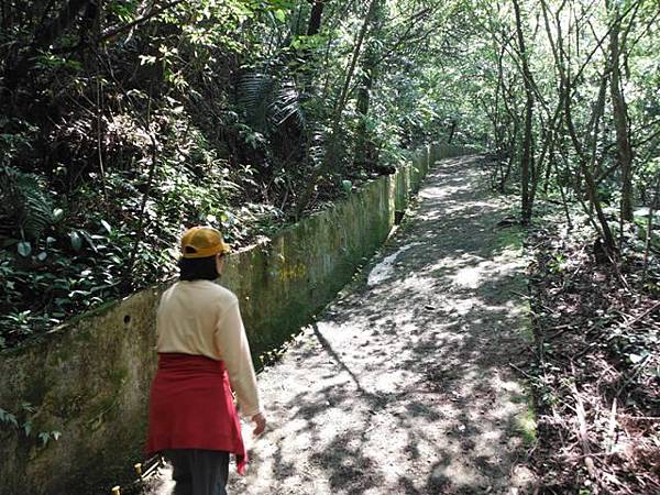 中埔山.青林山.竿蓁坑鑛務課178基石.竿蓁坑古道 050