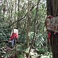 中埔山.青林山.竿蓁坑鑛務課178基石.竿蓁坑古道 059