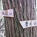 中埔山.青林山.竿蓁坑鑛務課178基石.竿蓁坑古道 060