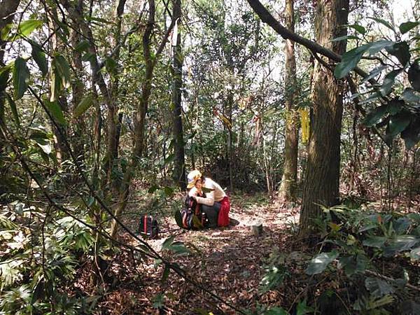 中埔山.青林山.竿蓁坑鑛務課178基石.竿蓁坑古道 069