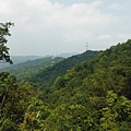 中埔山.青林山.竿蓁坑鑛務課178基石.竿蓁坑古道 076