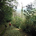 中埔山.青林山.竿蓁坑鑛務課178基石.竿蓁坑古道 078