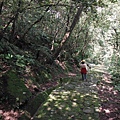 中埔山.青林山.竿蓁坑鑛務課178基石.竿蓁坑古道 079