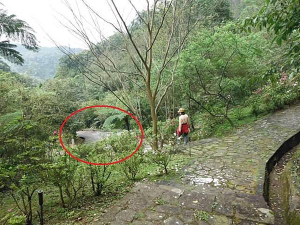 中埔山.青林山.竿蓁坑鑛務課178基石.竿蓁坑古道 081