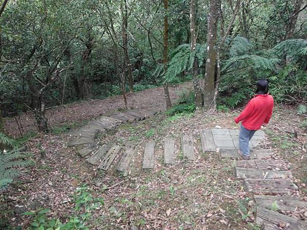 中埔山.青林山.竿蓁坑鑛務課178基石.竿蓁坑古道 098