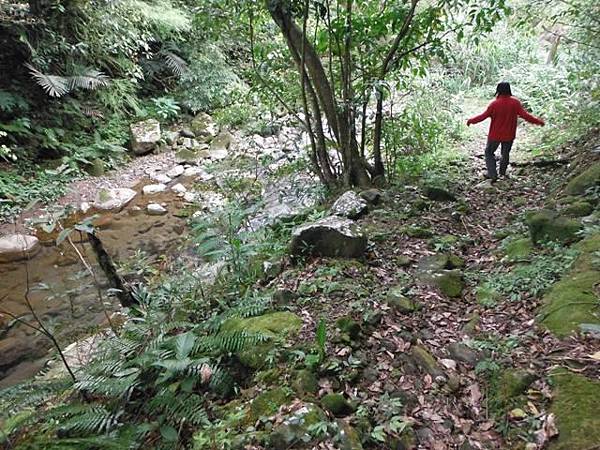 中埔山.青林山.竿蓁坑鑛務課178基石.竿蓁坑古道 105