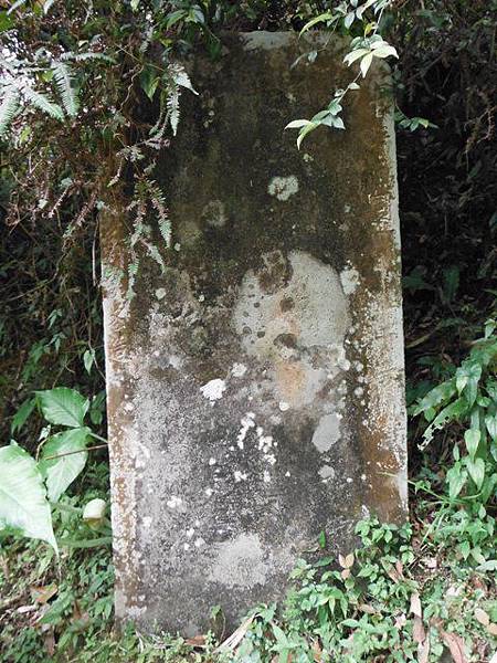 中埔山.青林山.竿蓁坑鑛務課178基石.竿蓁坑古道 117