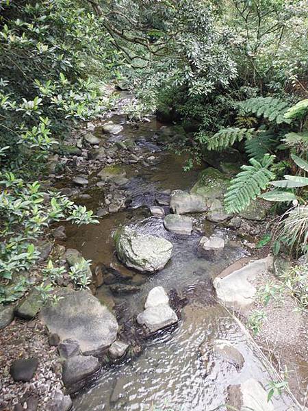 中埔山.青林山.竿蓁坑鑛務課178基石.竿蓁坑古道 122