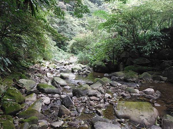 中埔山.青林山.竿蓁坑鑛務課178基石.竿蓁坑古道 130