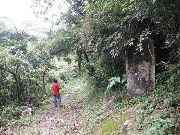 中埔山.青林山.竿蓁坑鑛務課178基石.竿蓁坑古道 142