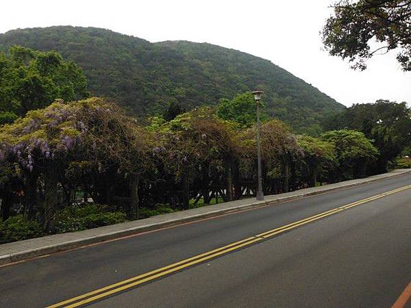 水車寮步道.水尾山.竹子湖頂湖海芋.湖山水濂洞假山北市市474基點 015