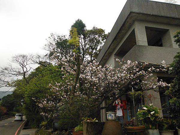 水車寮步道.水尾山.竹子湖頂湖海芋.湖山水濂洞假山北市市474基點 019