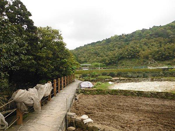 水車寮步道.水尾山.竹子湖頂湖海芋.湖山水濂洞假山北市市474基點 036