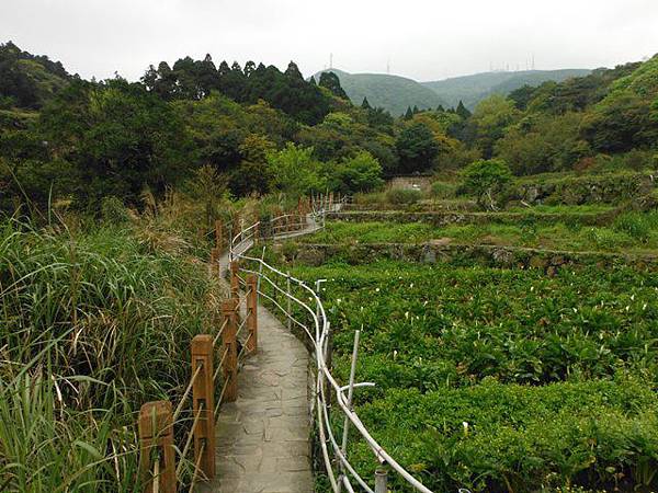 水車寮步道.水尾山.竹子湖頂湖海芋.湖山水濂洞假山北市市474基點 044