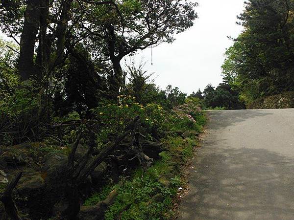 水車寮步道.水尾山.竹子湖頂湖海芋.湖山水濂洞假山北市市474基點 055