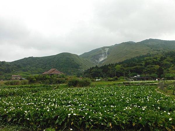 水車寮步道.水尾山.竹子湖頂湖海芋.湖山水濂洞假山北市市474基點 083