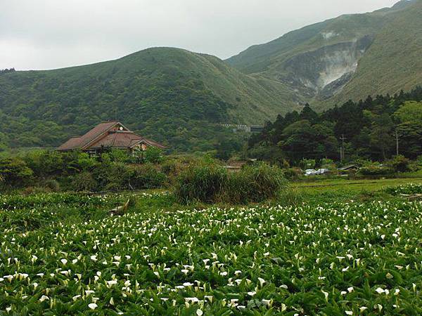 水車寮步道.水尾山.竹子湖頂湖海芋.湖山水濂洞假山北市市474基點 084