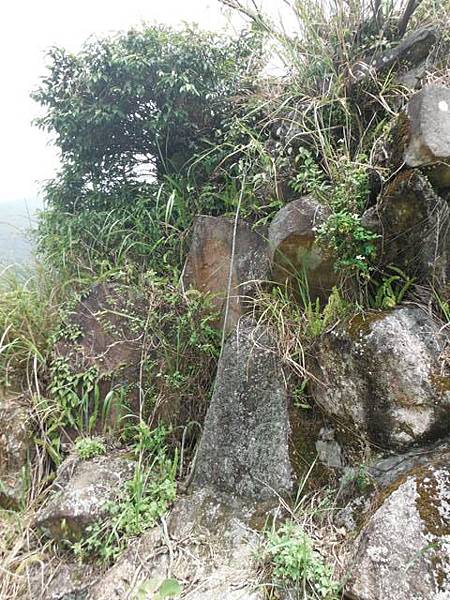 水車寮步道.水尾山.竹子湖頂湖海芋.湖山水濂洞假山北市市474基點 098