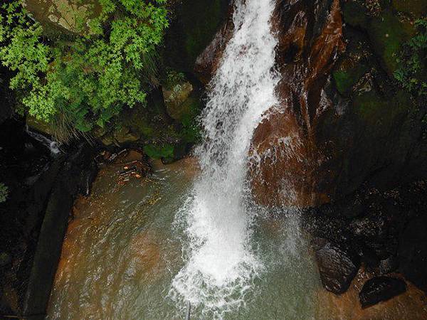 三角埔發電所.水管路步道.第三淨水廠.陽明湧泉 118