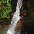 三角埔發電所.水管路步道.第三淨水廠.陽明湧泉 168