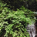 三角埔發電所.水管路步道.第三淨水廠.陽明湧泉 172