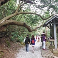 三角埔發電所.水管路步道.第三淨水廠.陽明湧泉 194