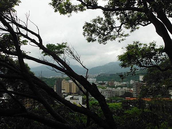 林子山.狗殷勤步道 037