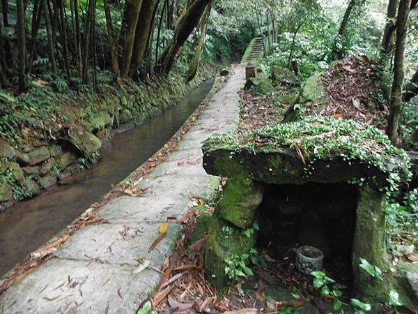 林子山.狗殷勤步道 071