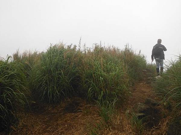 台大醫院.克莉蒙汀麵包.小觀音山群峰.菜頭崙 100