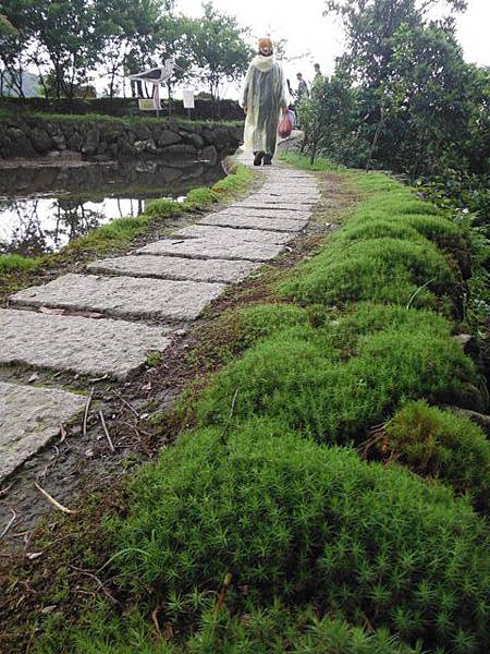 八煙聚落.八煙溫泉步道 044.JPG