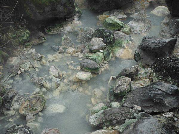 八煙聚落.八煙溫泉步道 083.JPG