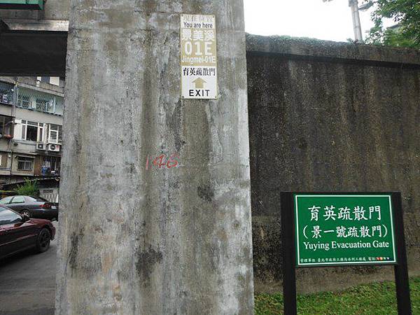 騎單車到景美山賞桐槓龜行 013