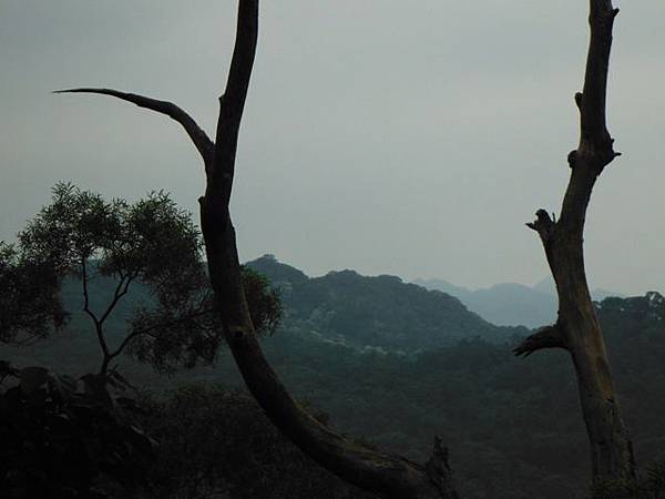 甘露寺登天上山.補置龍山寺大士香田捐勒名碑記(乙) 015