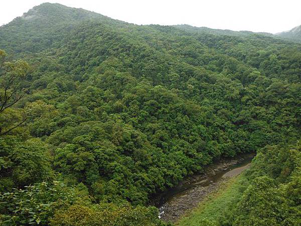 寶藏寺佛祖香燈碑記.內洞林道登大刀山 038