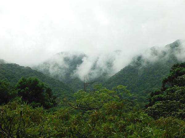 寶藏寺佛祖香燈碑記.內洞林道登大刀山 039