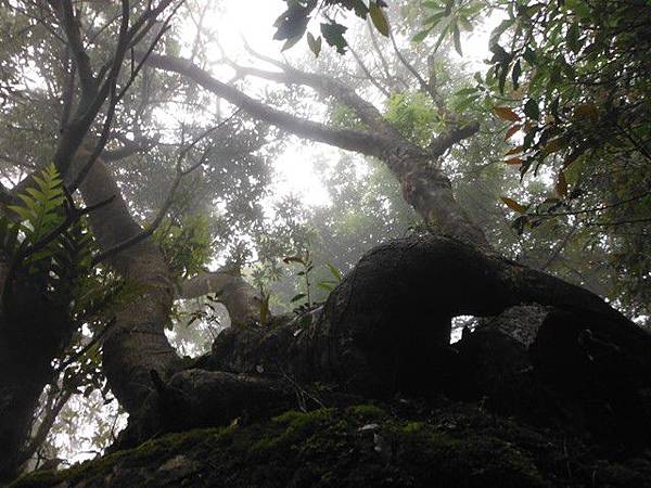 寶藏寺佛祖香燈碑記.內洞林道登大刀山 092