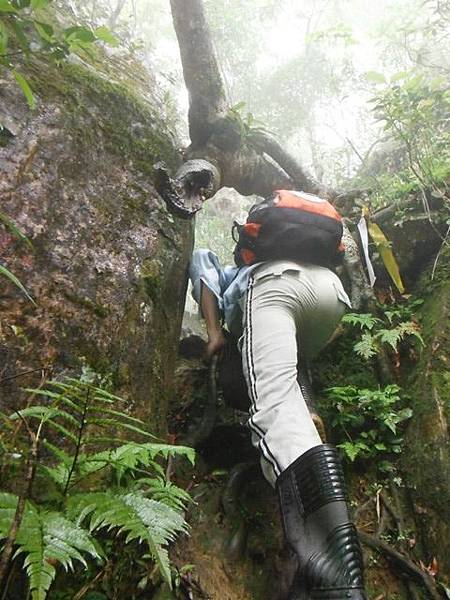寶藏寺佛祖香燈碑記.內洞林道登大刀山 093